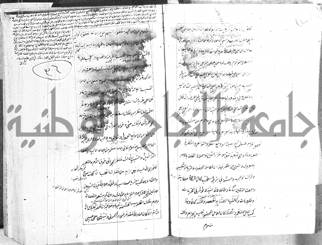 الطريقة المحمدية