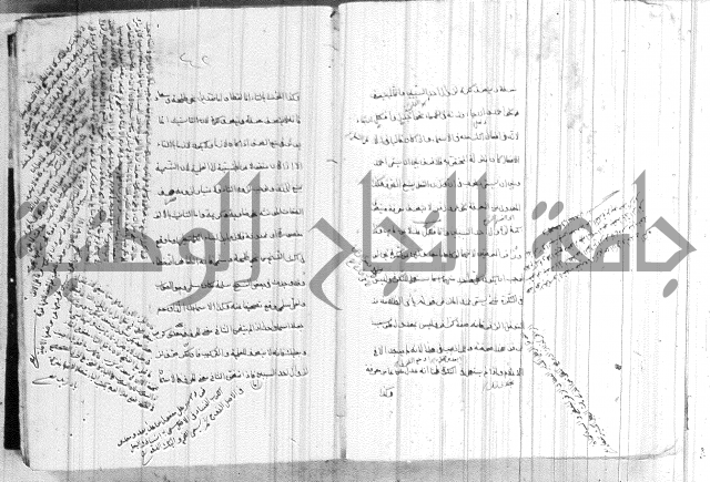 ضوء في علم النحو