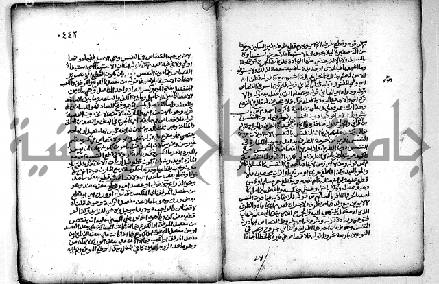 فقة من مخطوطات مسجد الحاج نمر النابلسي 