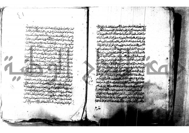 شرح شذور الذهب لابن هشام