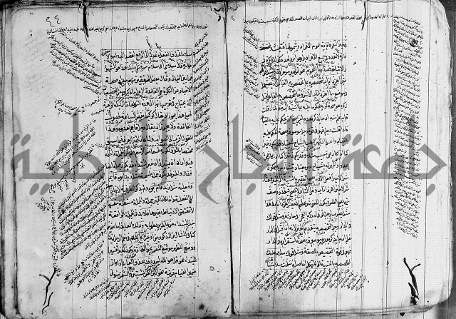 فوائد على الكافية 