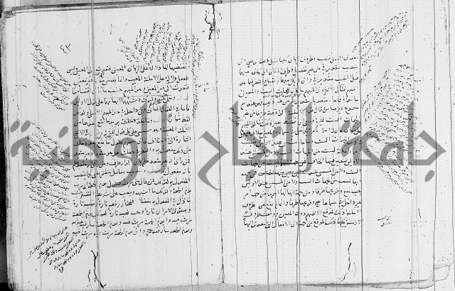 نحو - شرح الكافية