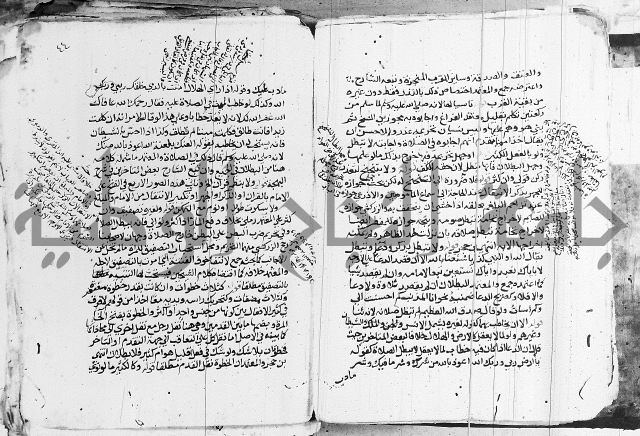 الزيادي على المنهج 