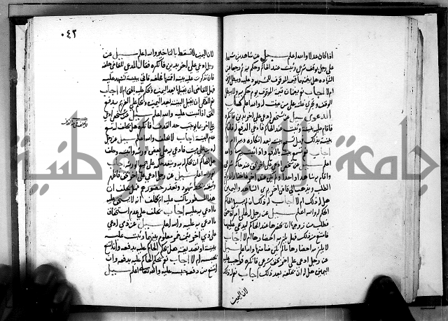 الفتاوى الامينية