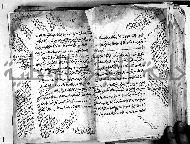 مذهب ابي حنيفة في الفقة