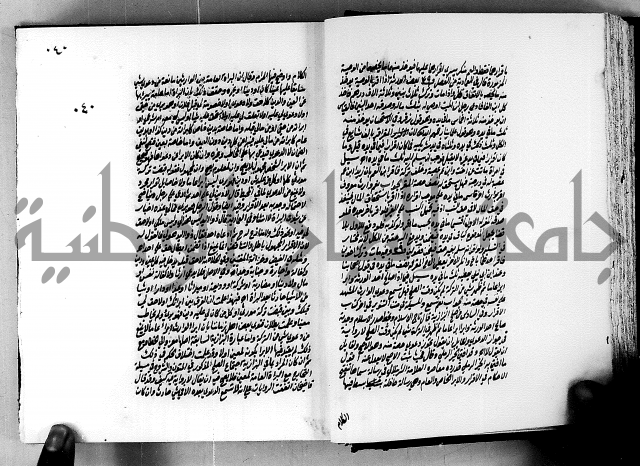 الجواهر الدورية في تنقيح الفتاوى الحامدية ج2 