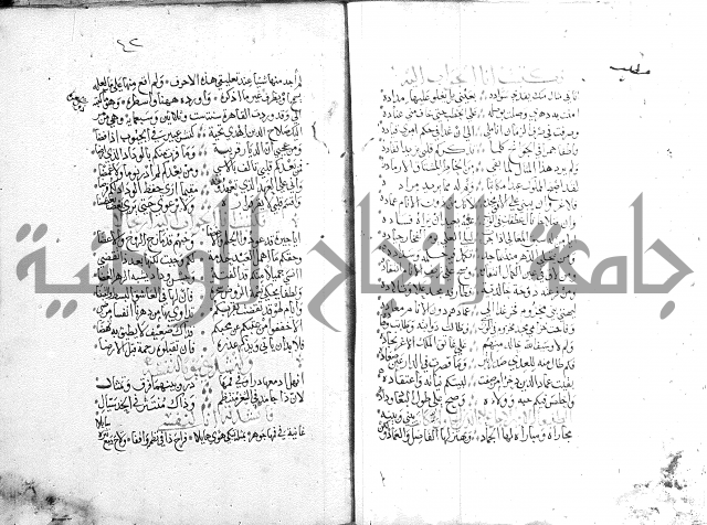 كتاب في الادب 