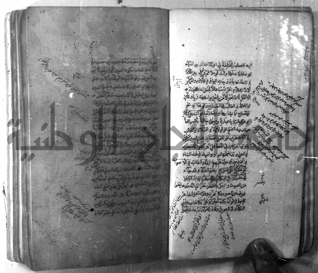 شرح الشافية 