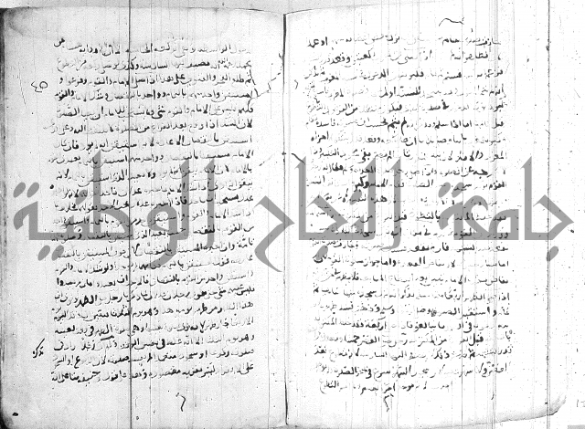 الفتاوى الولوالجية  