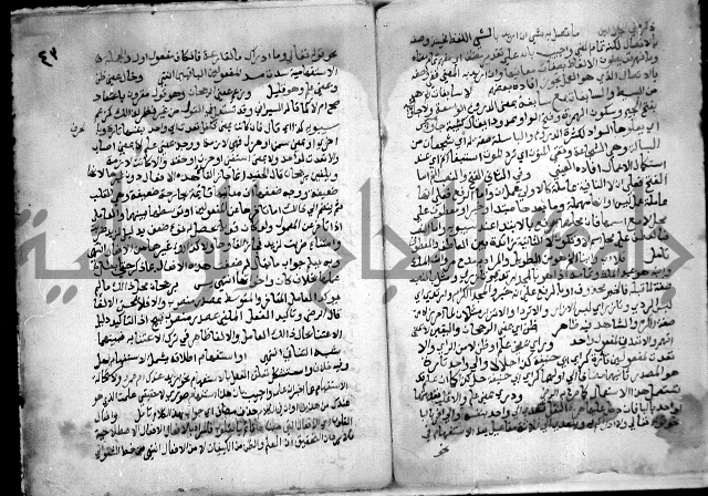 حاشية السجاعي على شرح قطر الندى وبل الصدى لابن هشام