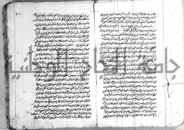 فتاوي تركية