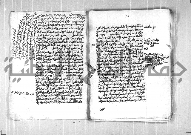 فتح الجليل  على شرح ابن عقيل 