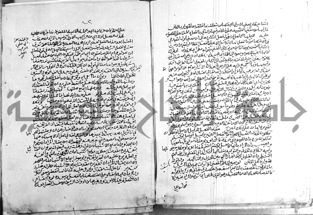 كتاب في اللغة العربية