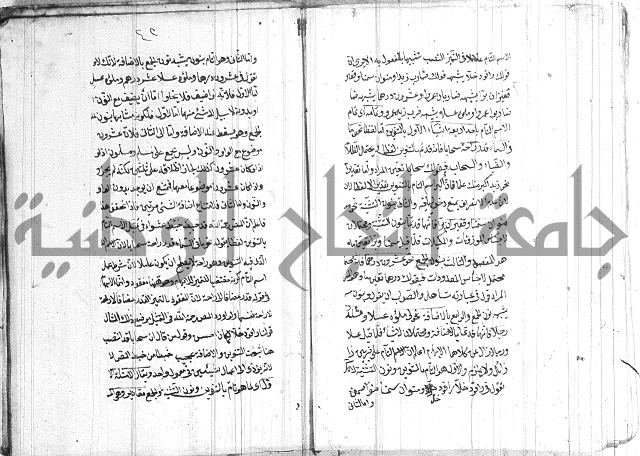 الانتاج المؤلف 