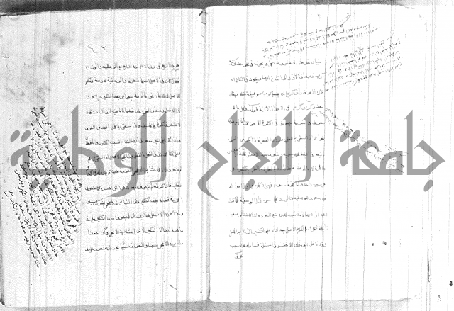 ضوء في علم النحو