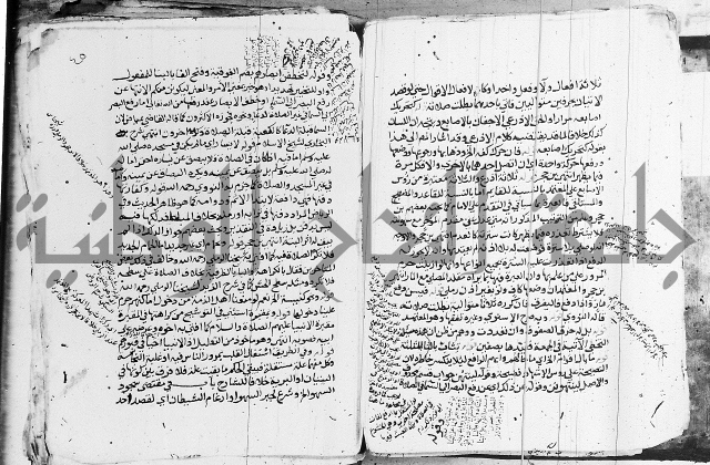 الزيادي على المنهج 