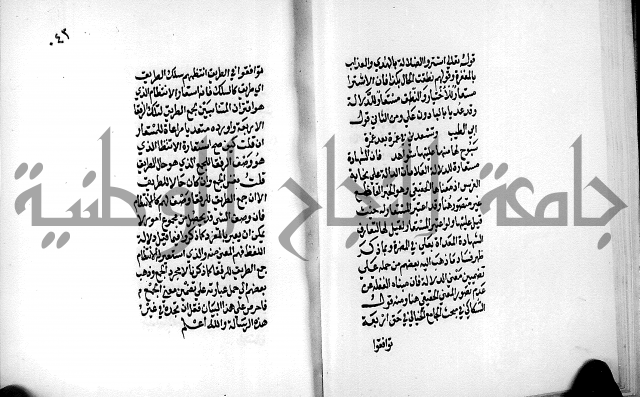الرسالة البيانية