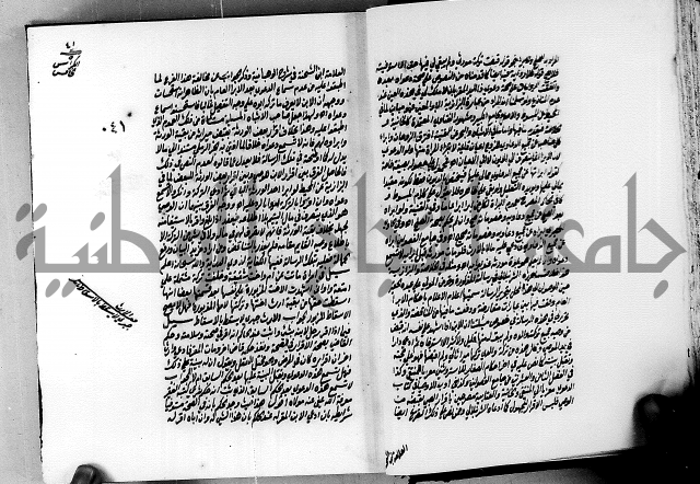 الجواهر الدورية في تنقيح الفتاوى الحامدية ج2 