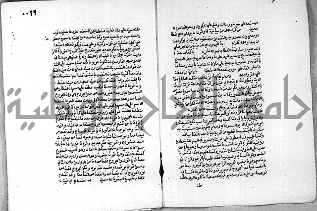 حاشية الجمل على الجلالين 