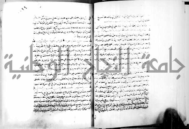 البحر الفائض في شرح ديوان ابن الفارض البوريني 