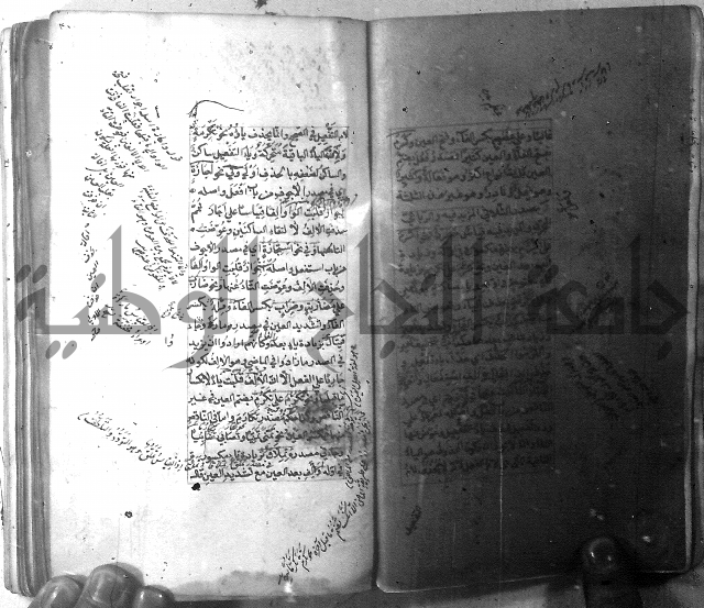 شرح الشافية 