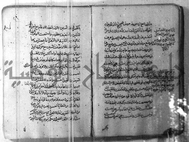 التفنن في الصرف