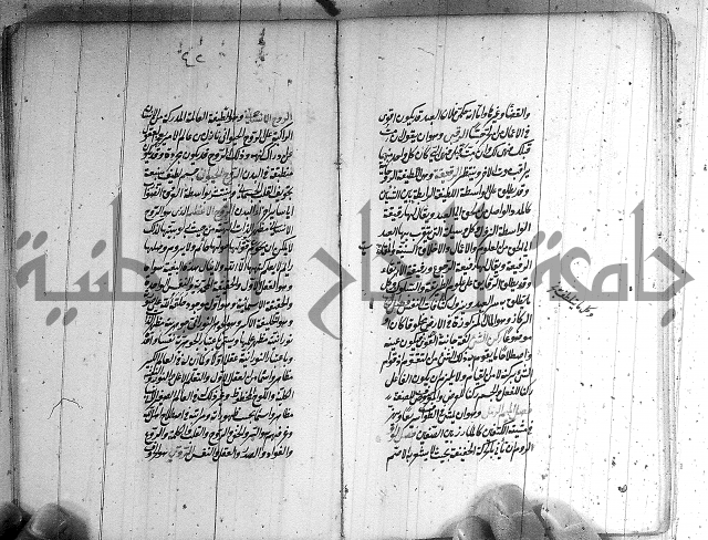 سيد التعريفات