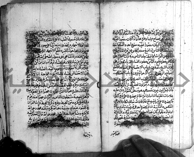 رسالة في الاحتساب