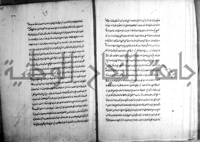 حاوي مسايل المنيه