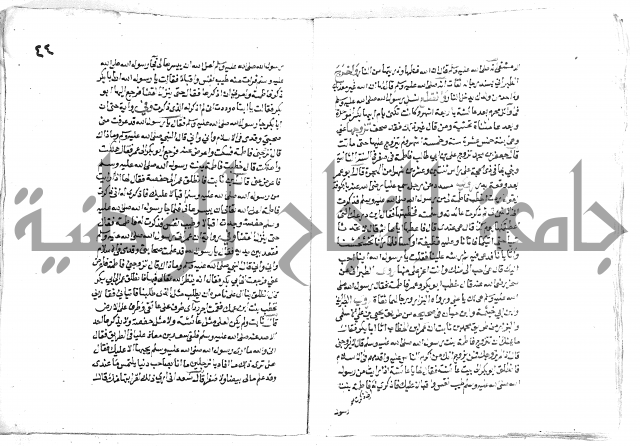 تحفة بن عبد مناف