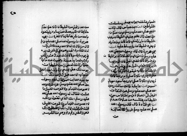 مختصر صحيح البخاري = جمع النهاية في بدء الخير والغاية