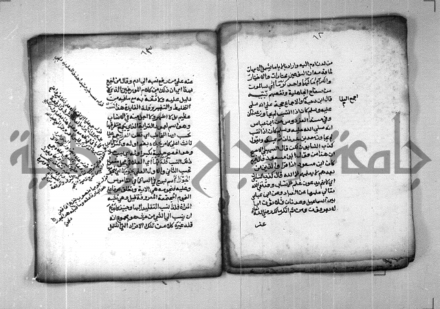 شرح الهمزية  