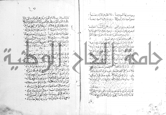 كتاب في الادب 