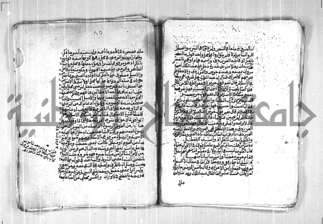 فتح الجليل  على شرح ابن عقيل 