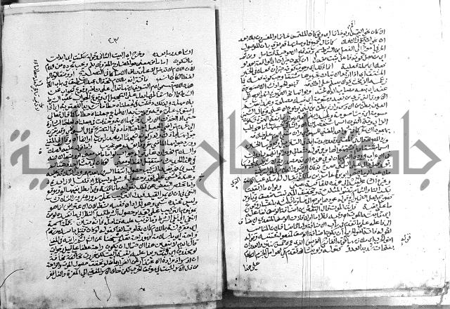 كتاب في اللغة العربية