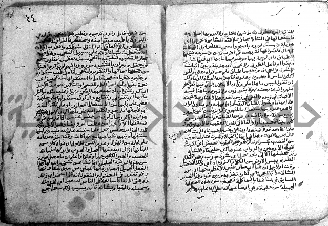 مجموع - كتاب اضاءات 
