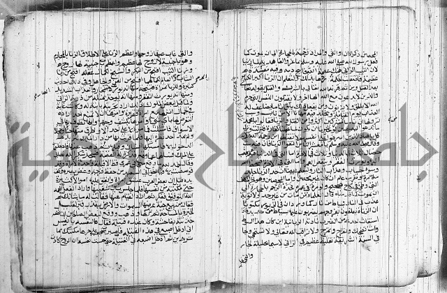 المجالس السنية