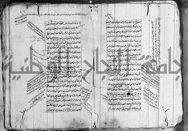 فوائد على الكافية 