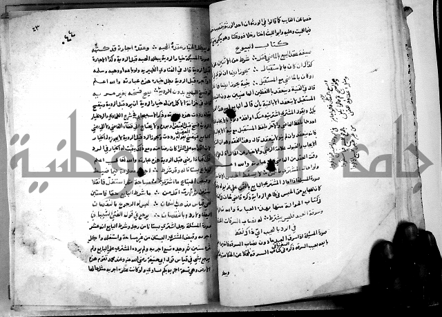 الدرة السنية بشرح الفوايد الفقهية 