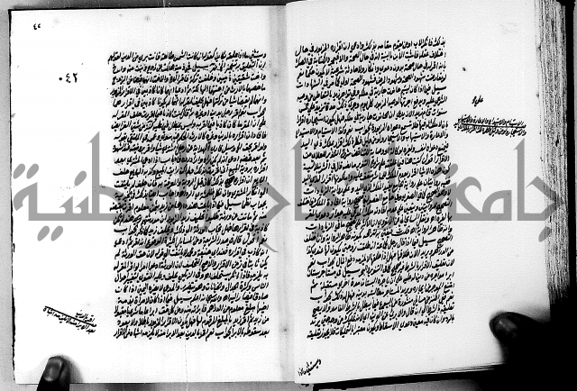 الجواهر الدورية في تنقيح الفتاوى الحامدية ج2 