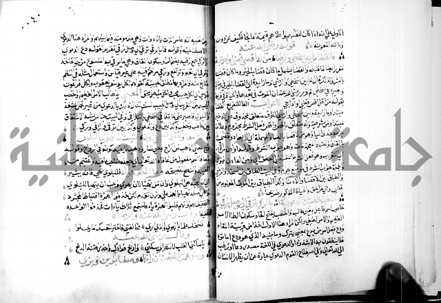 البحر الفائض في شرح ديوان ابن الفارض البوريني 