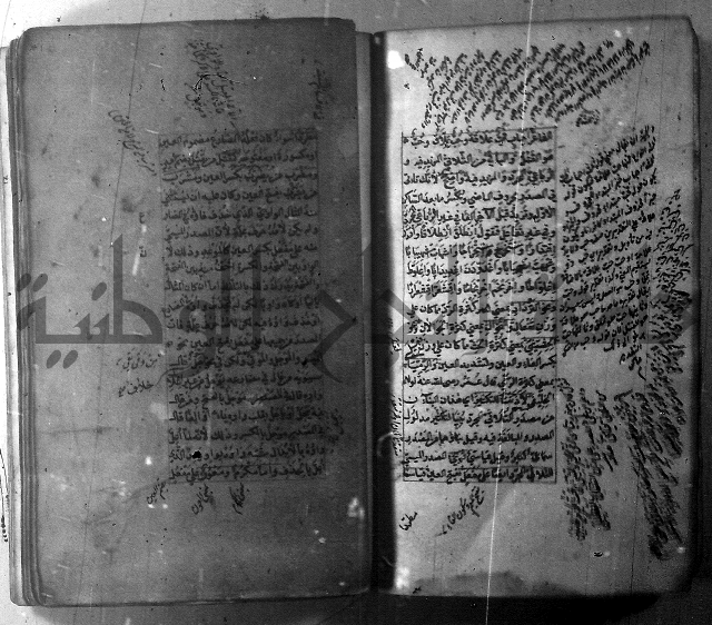 شرح الشافية 