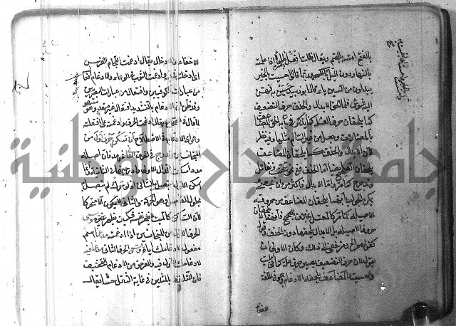 التفنن في الصرف