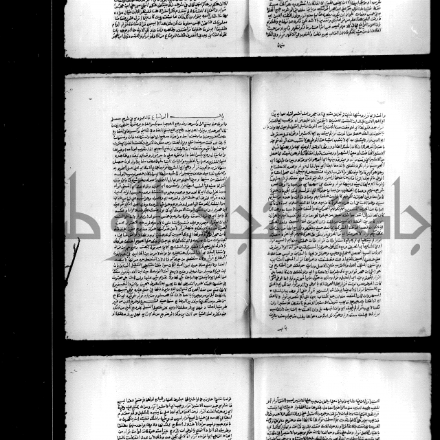 مجهول فقة 55