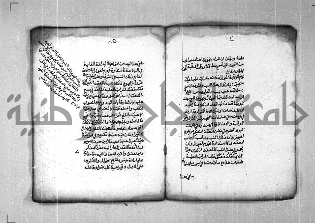 شرح الهمزية  