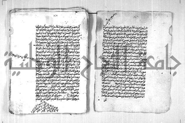 فتح الجليل  على شرح ابن عقيل 