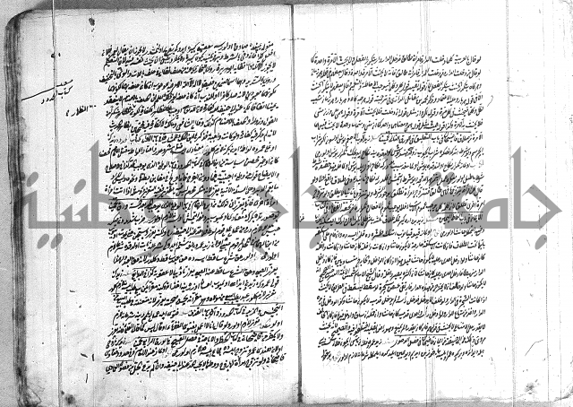 فتاوي تركية