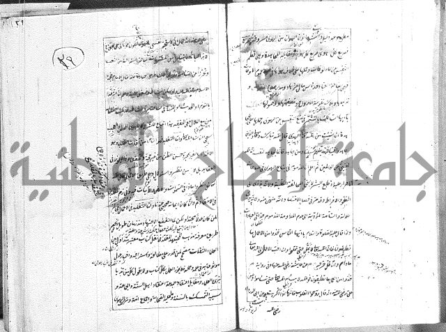 الطريقة المحمدية