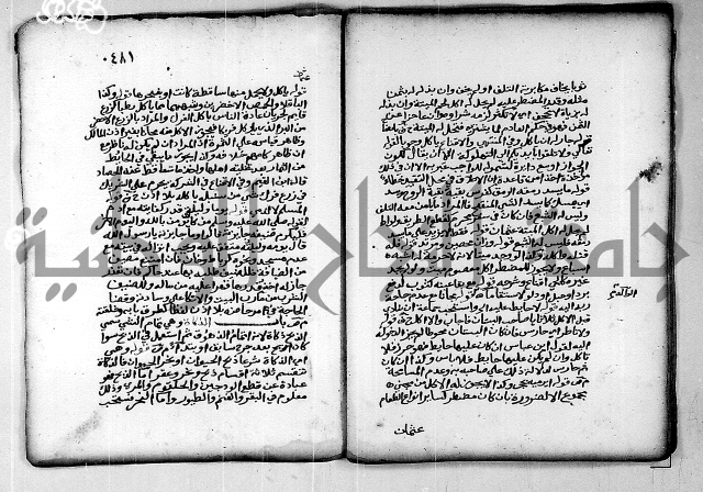 فقة من مخطوطات مسجد الحاج نمر النابلسي 