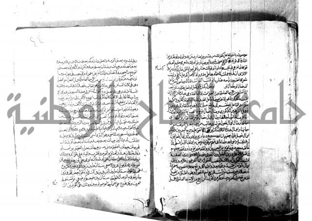 شرح شذور الذهب لابن هشام